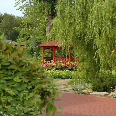 Bed and breakfast Olivia